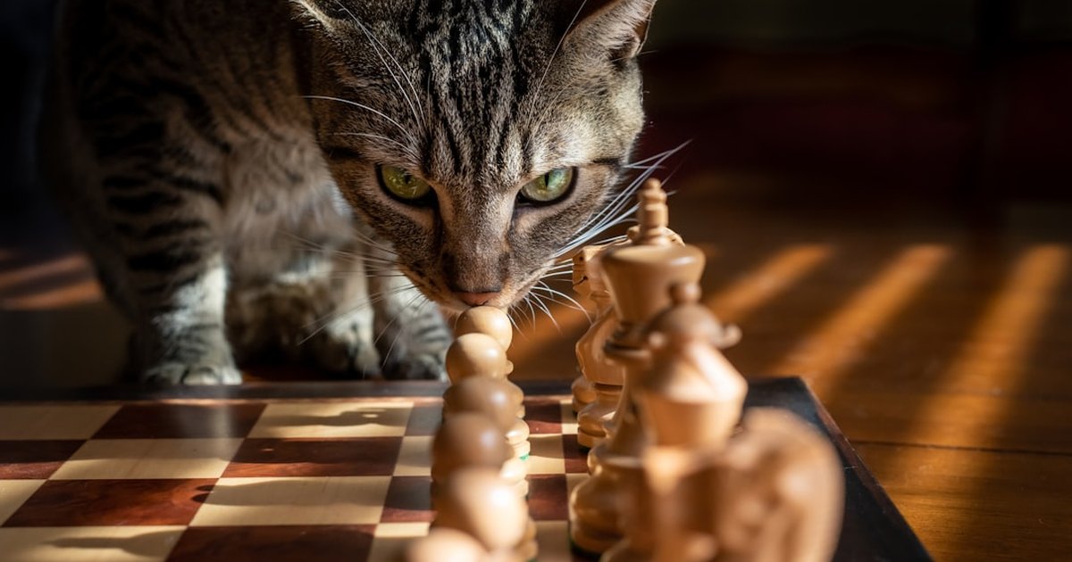 Behavioural triggers: prize-chasing vs steady interest