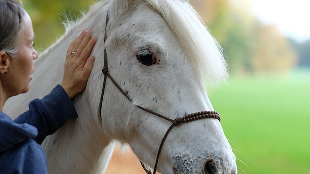 Best sign-up ISA deals vs Premium Bonds: choose wisely