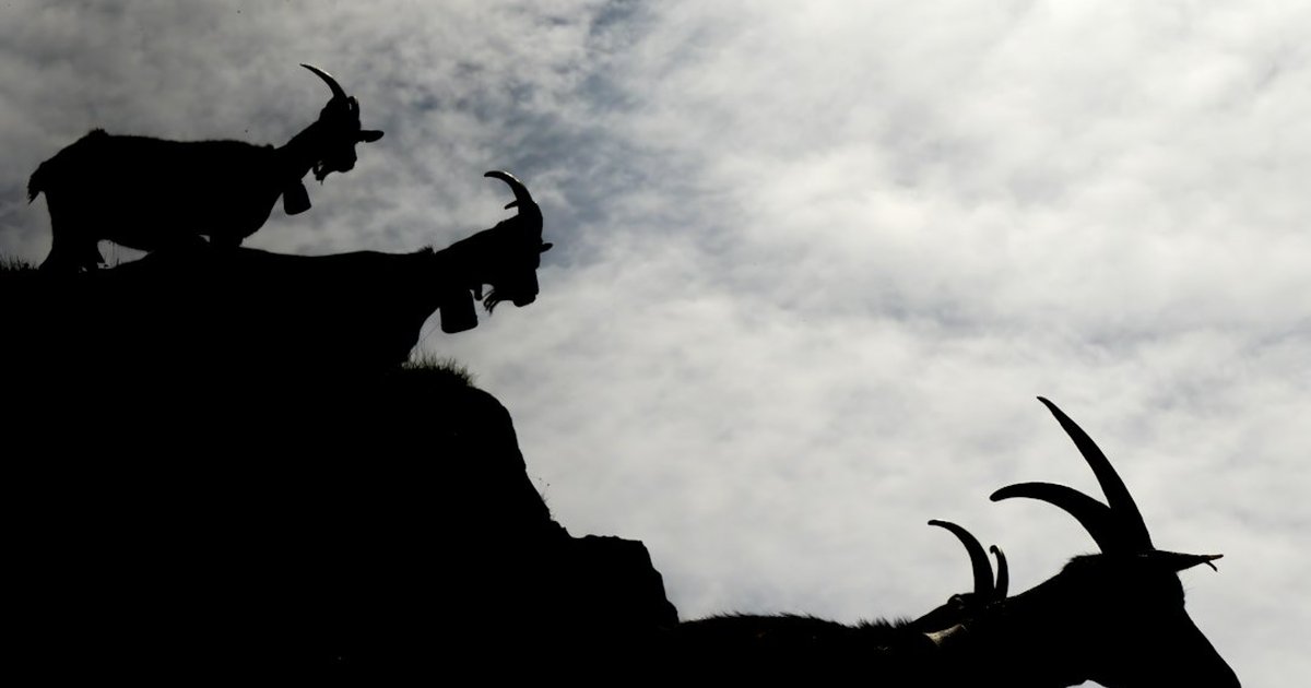 Green Stocks & Shares ISA vs Premium Bonds: Key risks